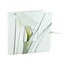 fleur vent