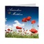 Coquelicots