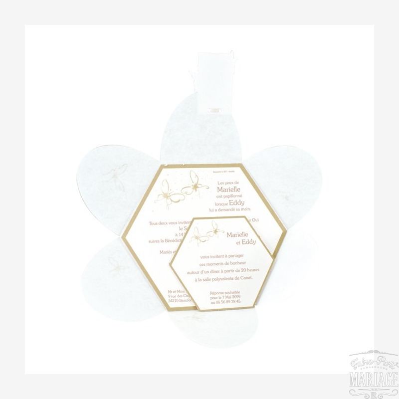 papillons chocolats